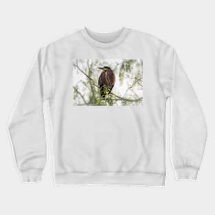 Green Heron Perched Crewneck Sweatshirt